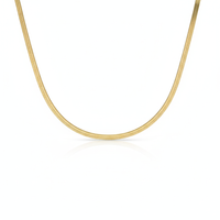 Tint Silver Necklace